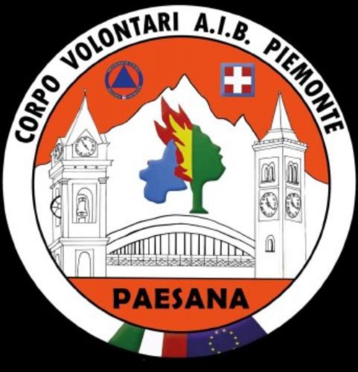 Aib paesana, NUOVO LOGO