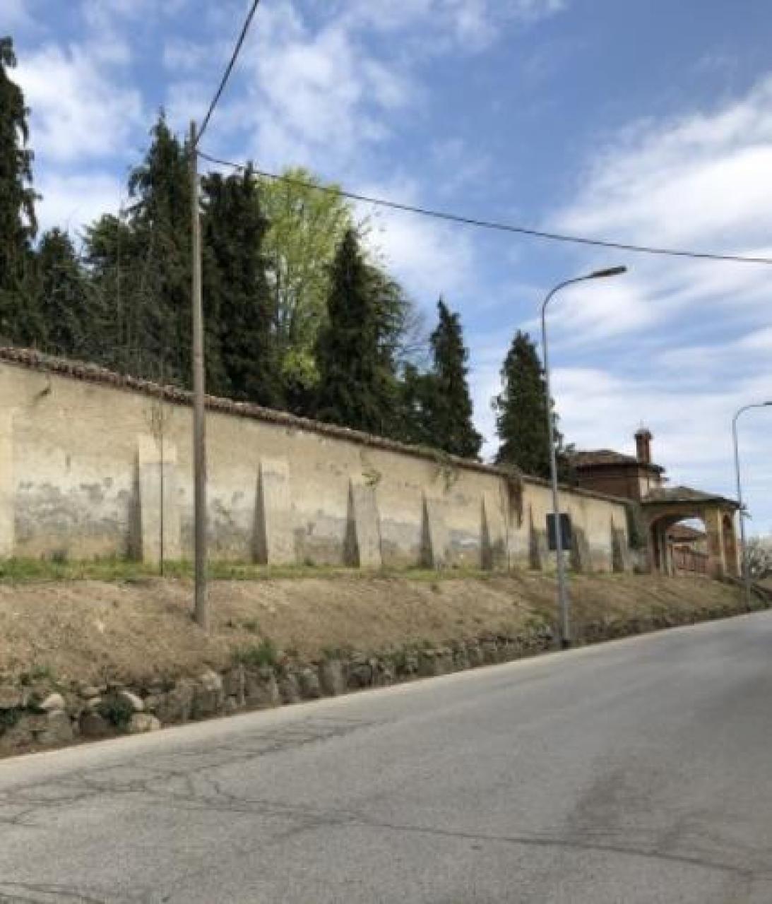 Alberi dei Cappuccini giallo sull’abbattimento