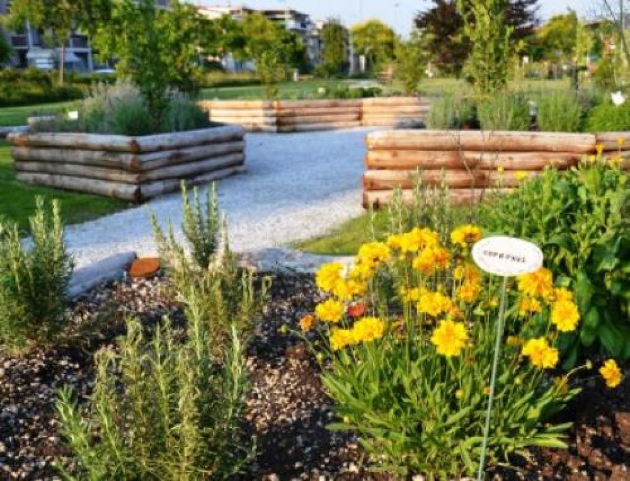 Busca&Verde lancia le adozioni delle piante «Scegliete il nome e aiutateci a mantenerle»