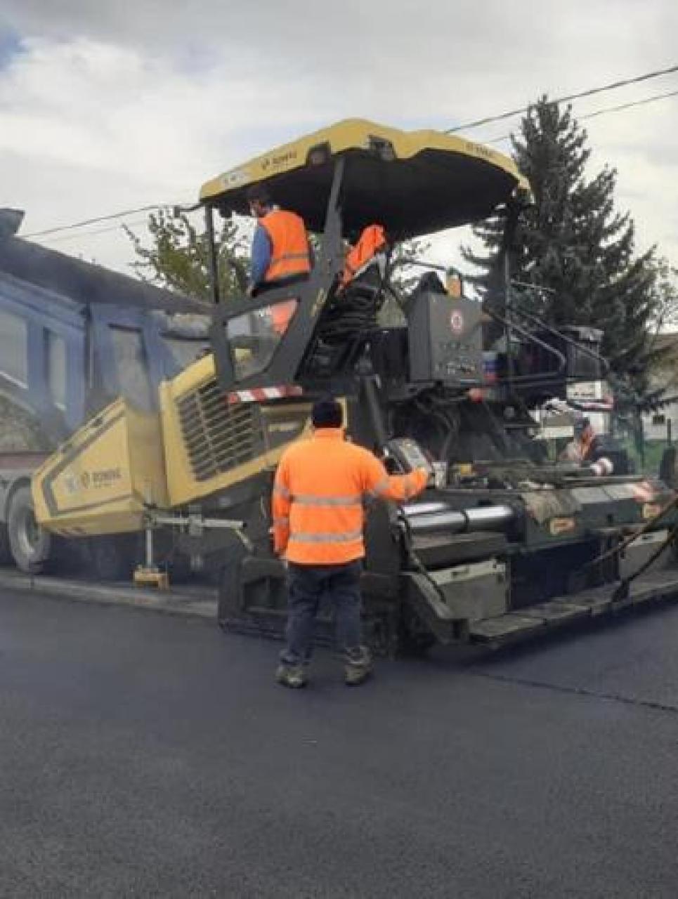 Cucciolo di cane incastrato in un tubo: salvato