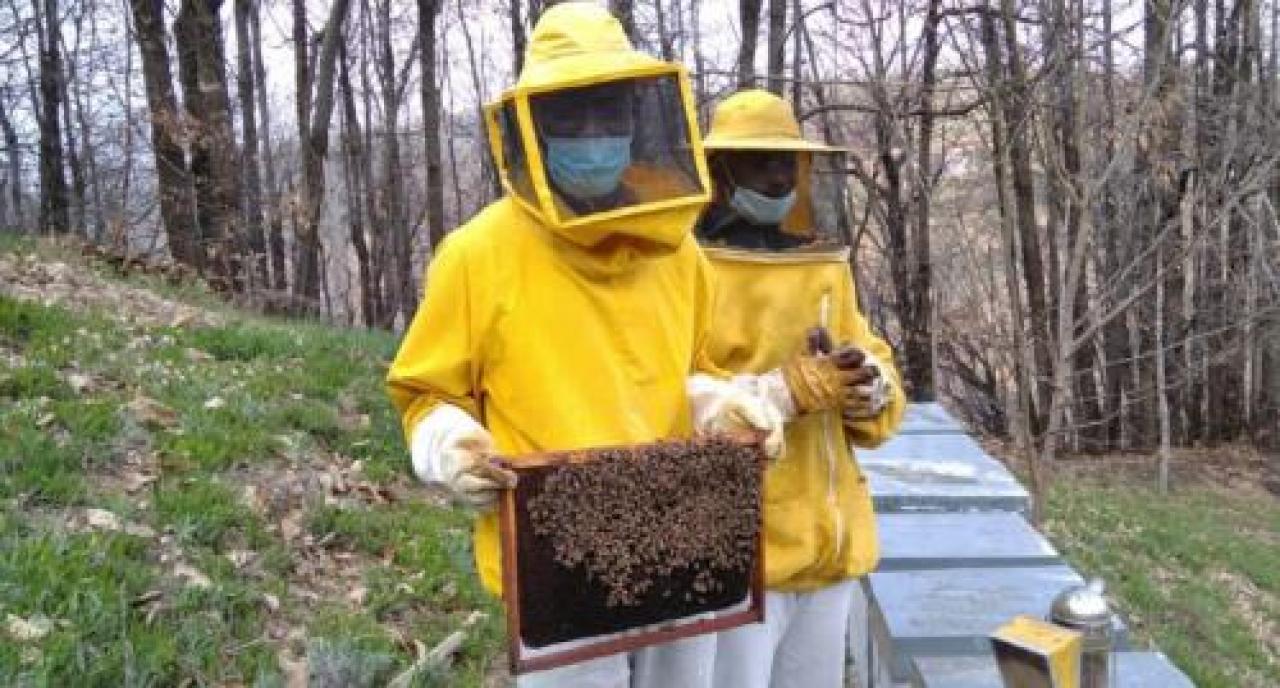 Da stagionali della frutta ad apicoltori La storia a lieto fine di 3 giovani africani