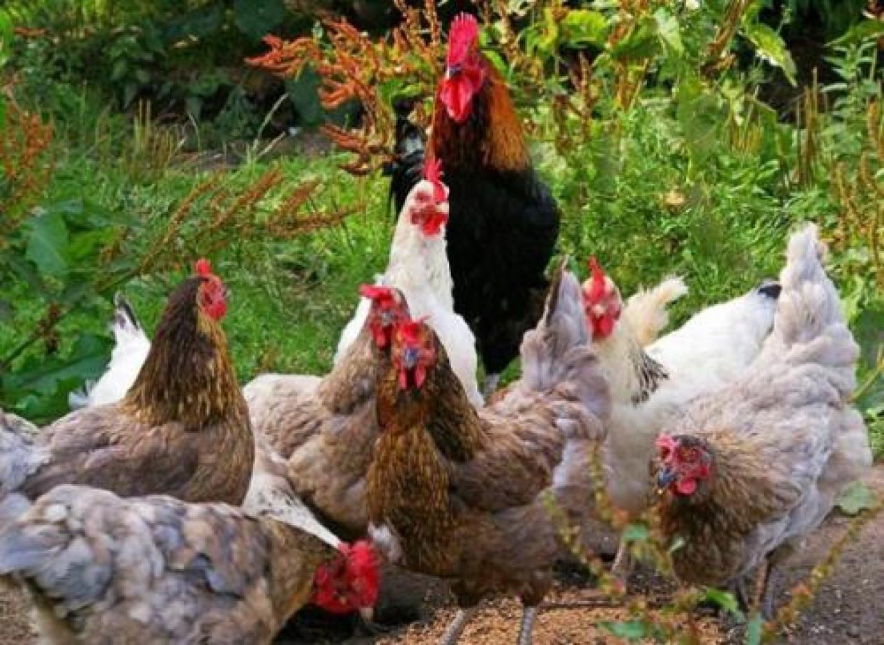 Depetris, azienda famigliare