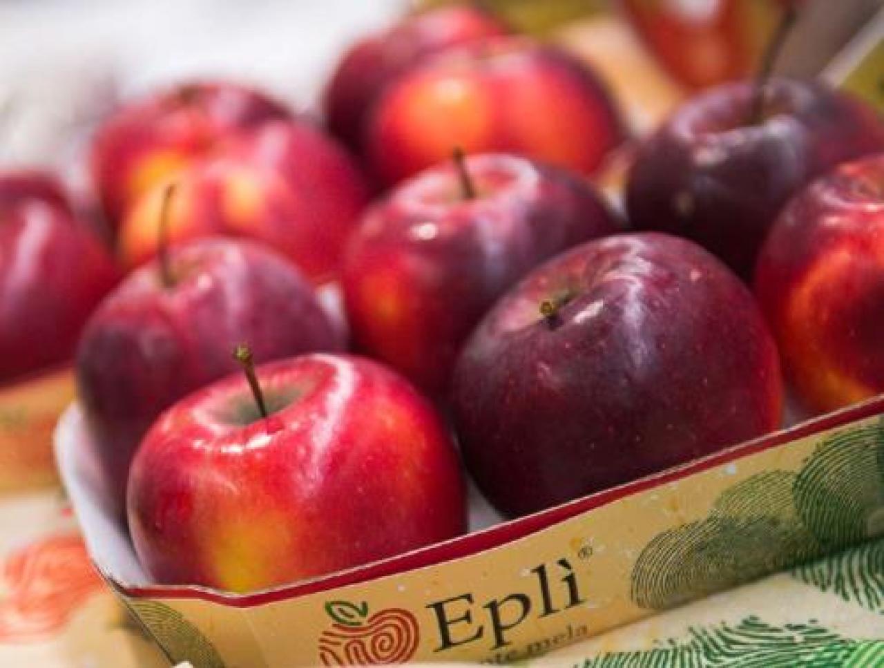 Export mele, corre il brand Eplì lagnasco group Riscontri positivi anche in Italia con la linea Fiorfiore Coop