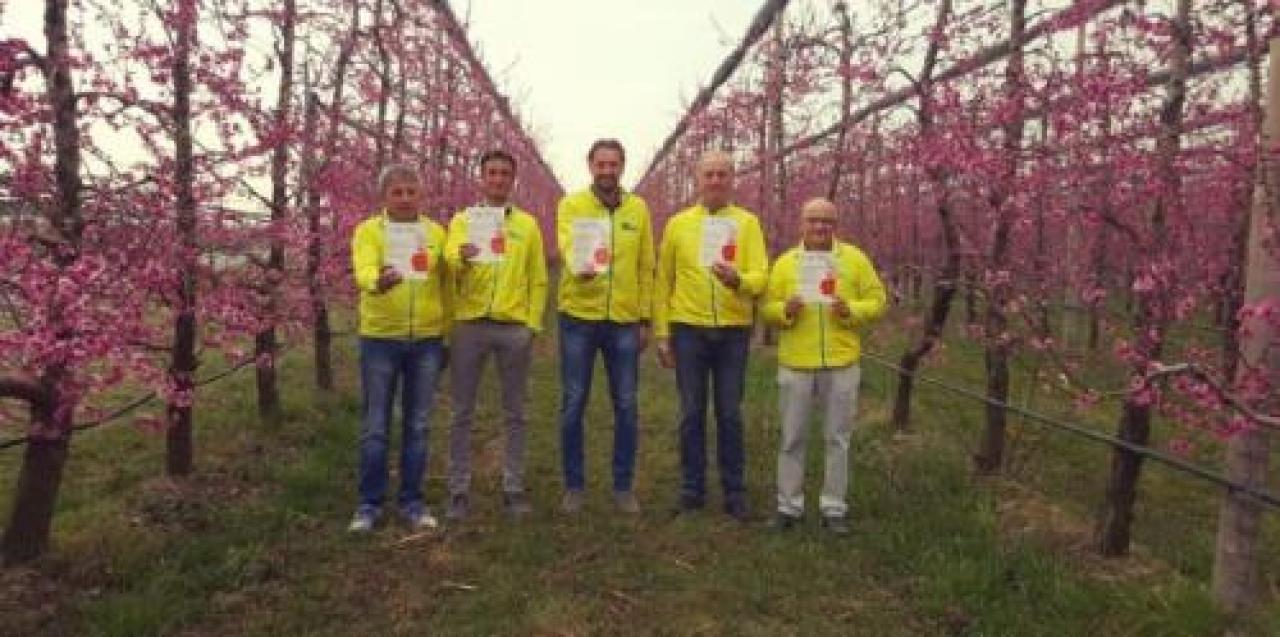 Fruttinfiore sbarca in tv Prima edizione digitale