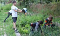 I ragazzi della Casetta alle prese con l’orto