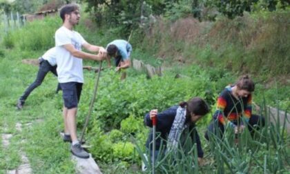 I ragazzi della Casetta alle prese con l’orto