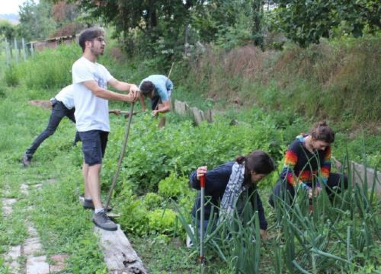 I ragazzi della Casetta alle prese con l’orto