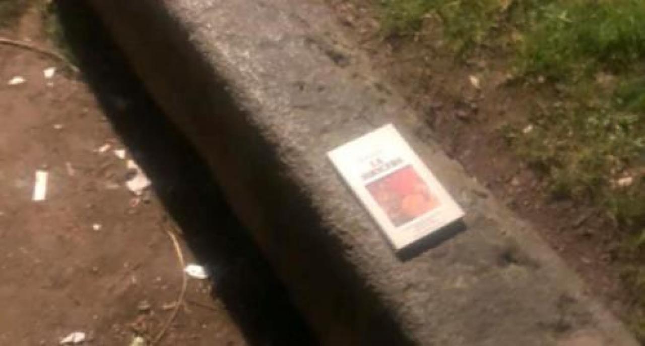 Libri sulle panchine nel parco della città alta