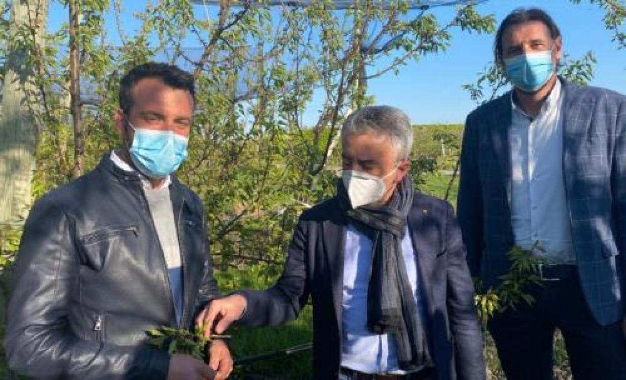 Poche le aziende coperte dalle polizze, sos alla regione piemonte Lagnasco fa la conta dei danni «Indennizzi in tempi rapidi»