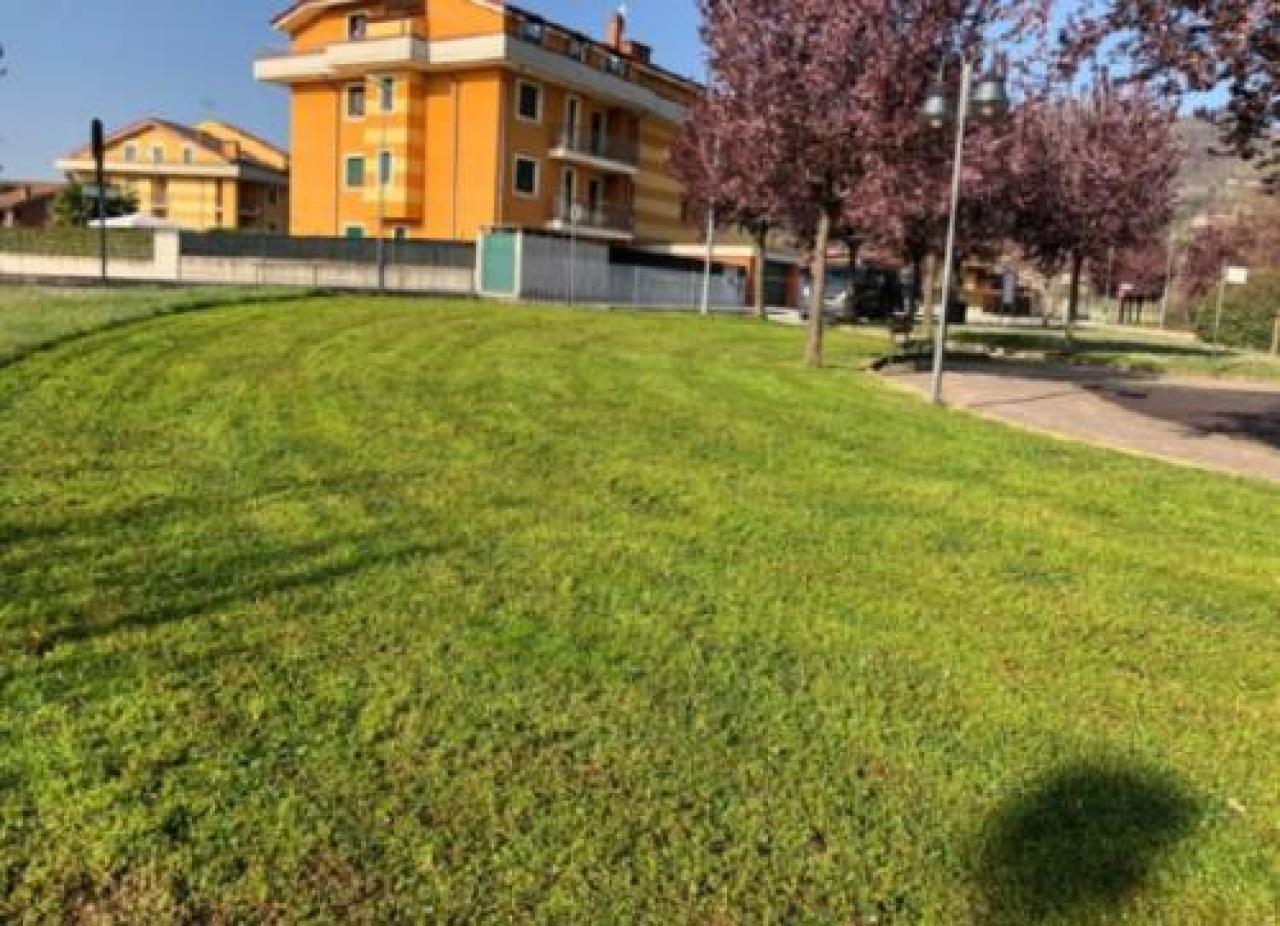 Pulizie di primavera a busca