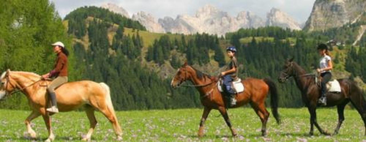 A Crissolo le escursioni a cavallo