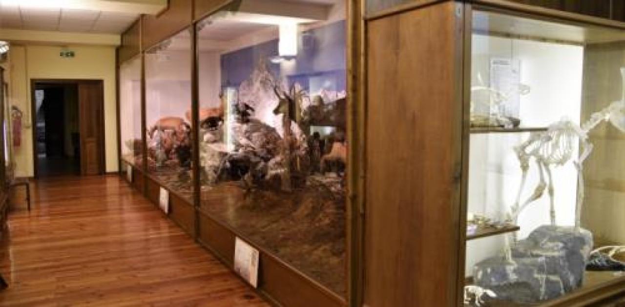 A revello riapre il museo del parco