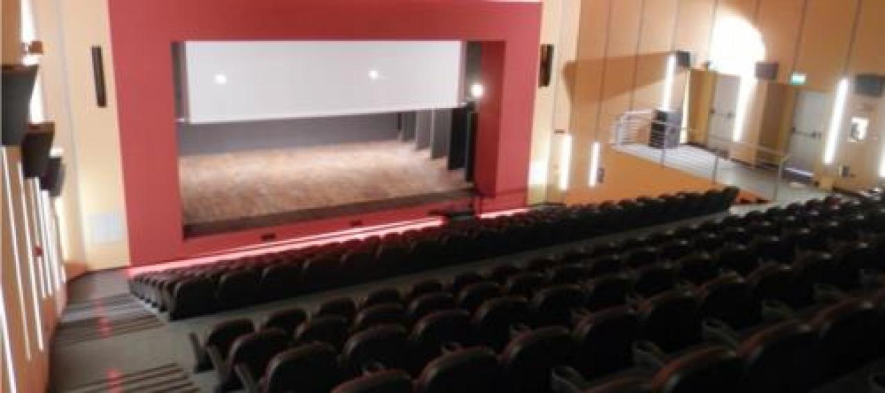 Cinema e teatri pronti a riaprire Per l’estate c’è l’Arena alla Musso a colloquio con ratatoj e teatro del marchesato tra aspettative e incertezze