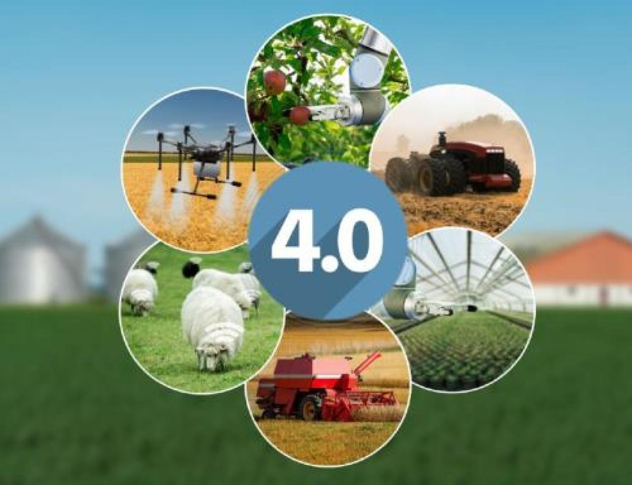 Credito d’imposta, la nuova agevolazione per gli investimenti in macchinari agricoli Contributo del 50% alle imprese che puntano sul 4.0