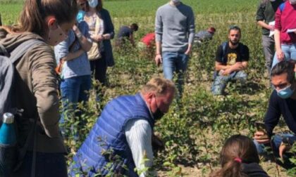 Gli studenti universitari di Agraria a lezione di vivaismo nel saluzzese Dal campus di grugliasco in visita all’azienda di Dario miretti