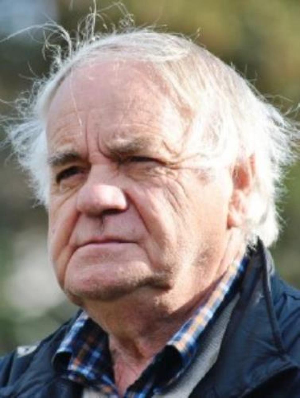 Il “manifesto” dei progressisti green