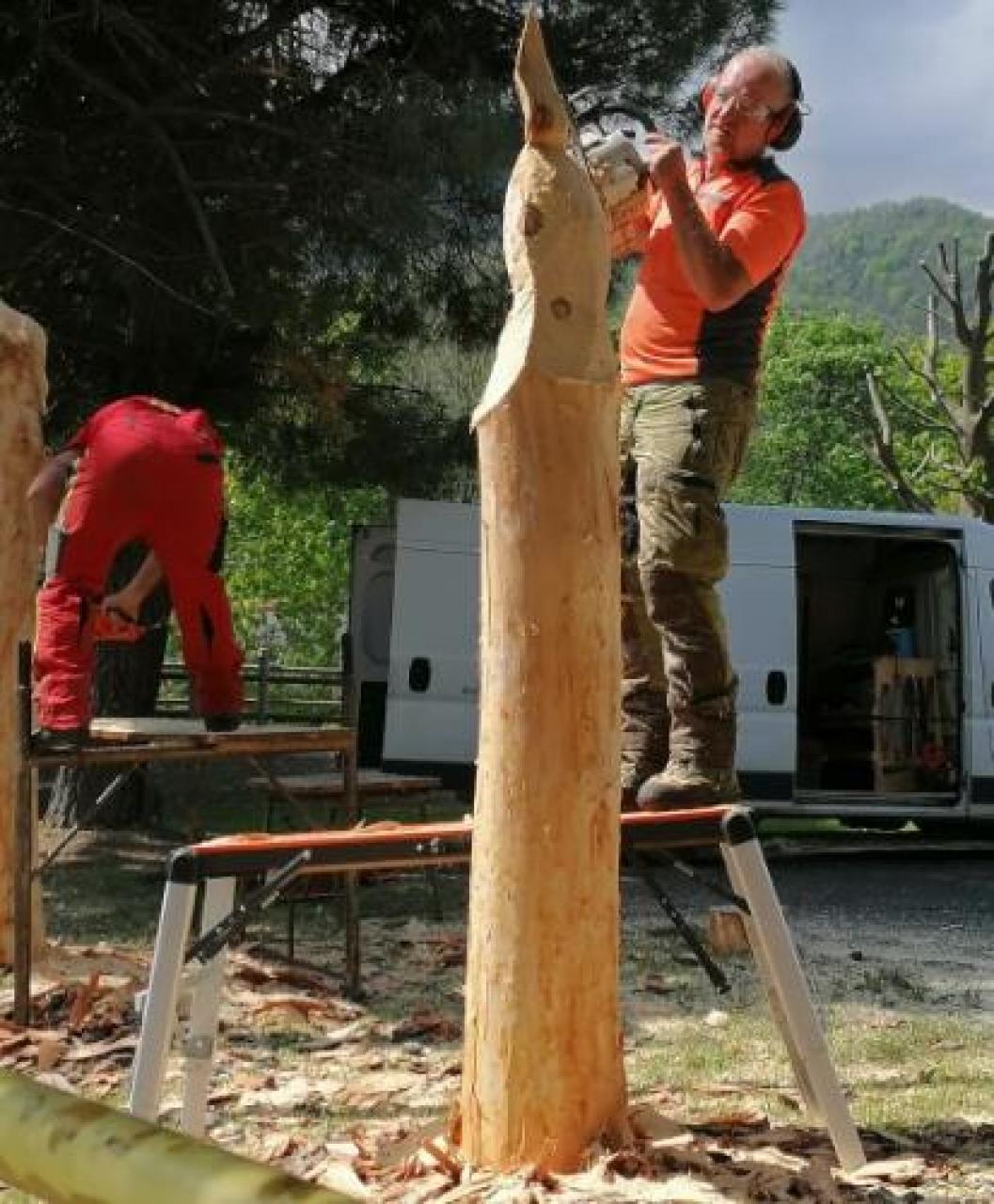 L’airone e l’anatra giocano nel legno con la trota fario