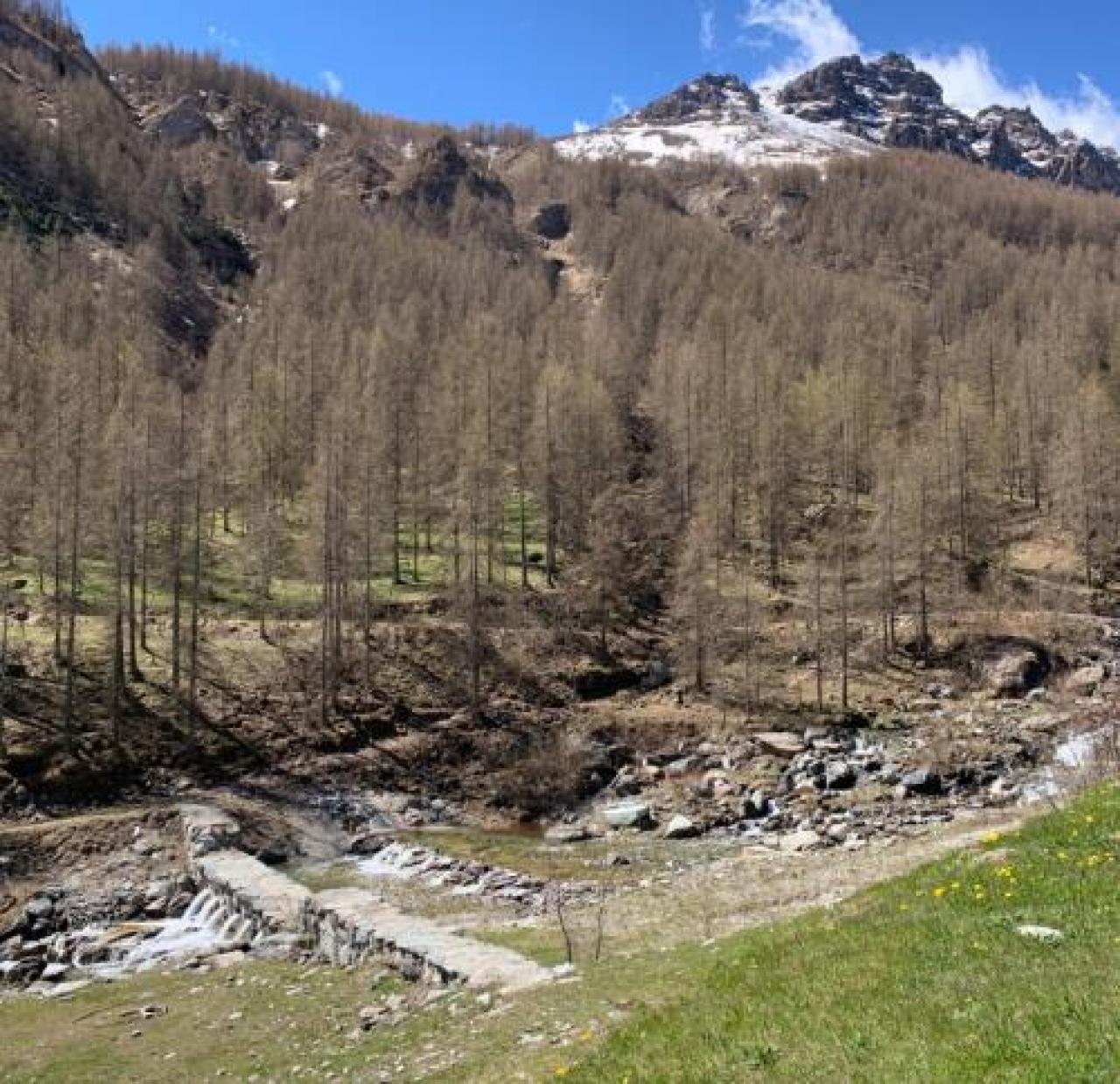 L’ultimo viaggio di Renato Maurino Le ceneri disperse ai piedi del Viso Xxxxxx Xxxxx