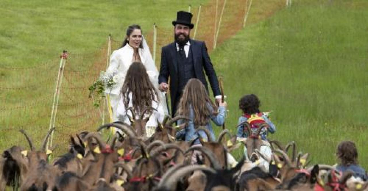 La transumanza dei Luvertin per i 10 anni di matrimonio