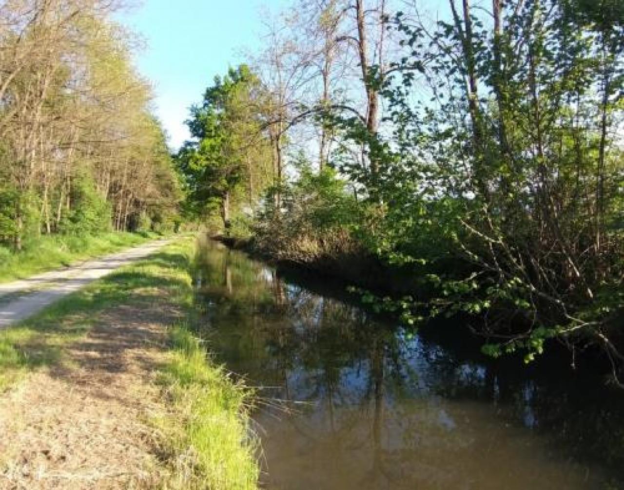 Le trote si salvano dalla maxi-pulizia REVELLO Si realizza una nuova presa per convogliare l’acqua del Po