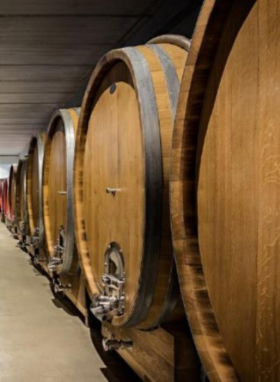 Pre-ingresso scolastico