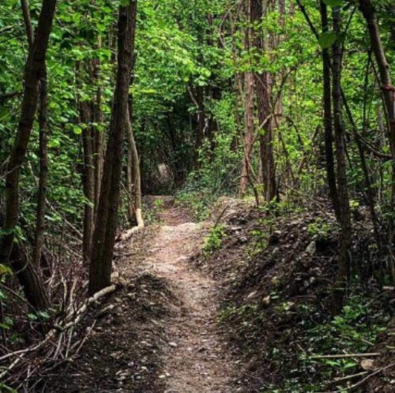 Sette km di sentieri ripuliti dai volontari