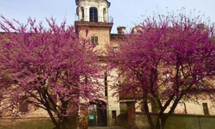 Il fantasma del castello C’è chi giura di averlo visto