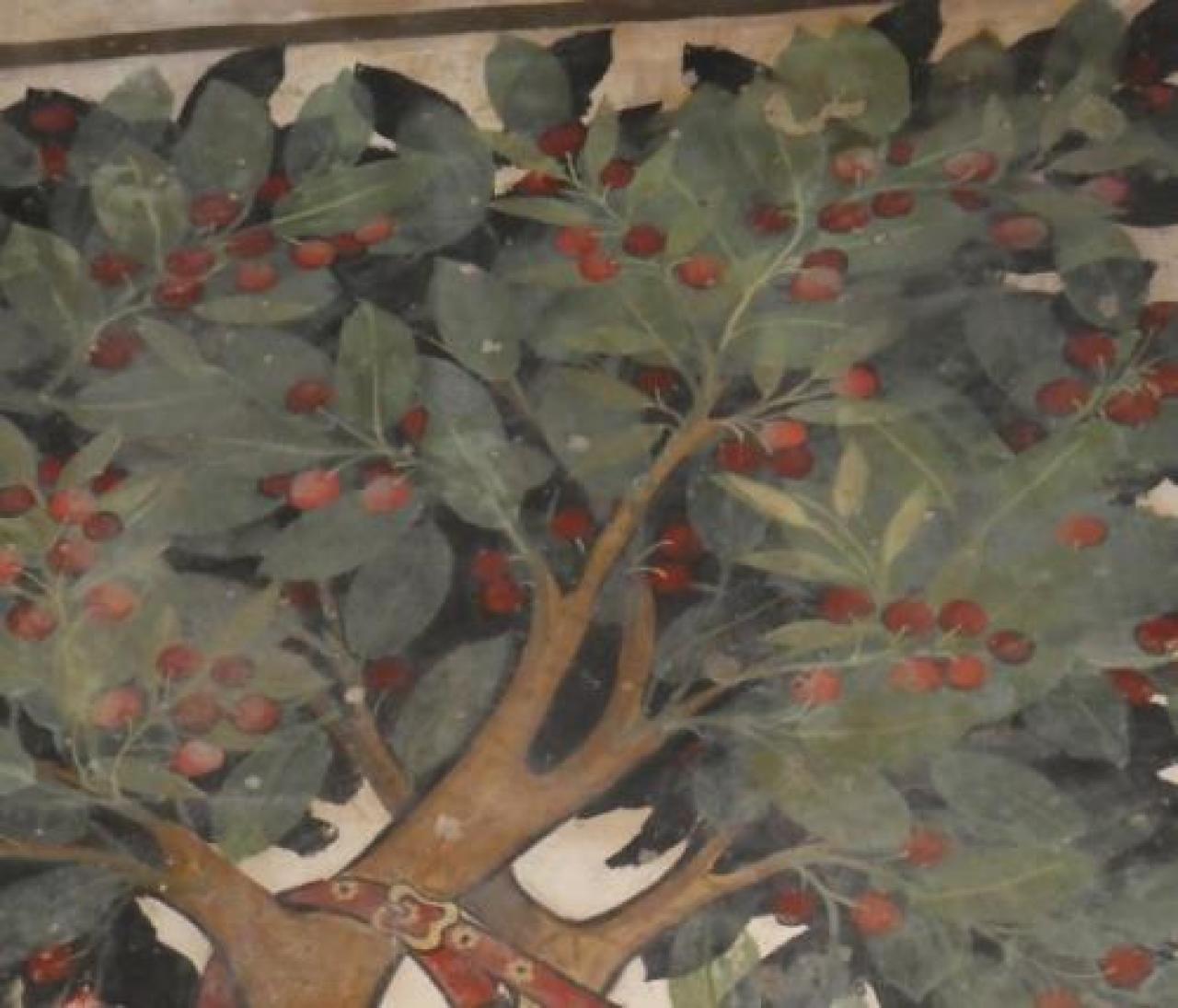 L’eden segreto nel castello della Manta