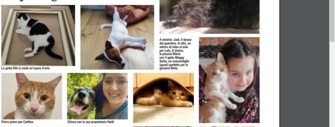 Coccolosi, pigri, amici carissimi Cani e gatti protagonisti dell’estate