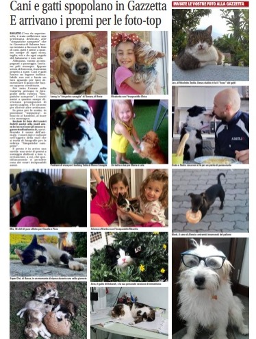 Cani e gatti spopolano in Gazzetta E arrivano i premi per le foto-top