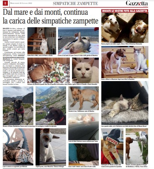 Dal mare e dai monti, continua la carica delle simpatiche zampette
