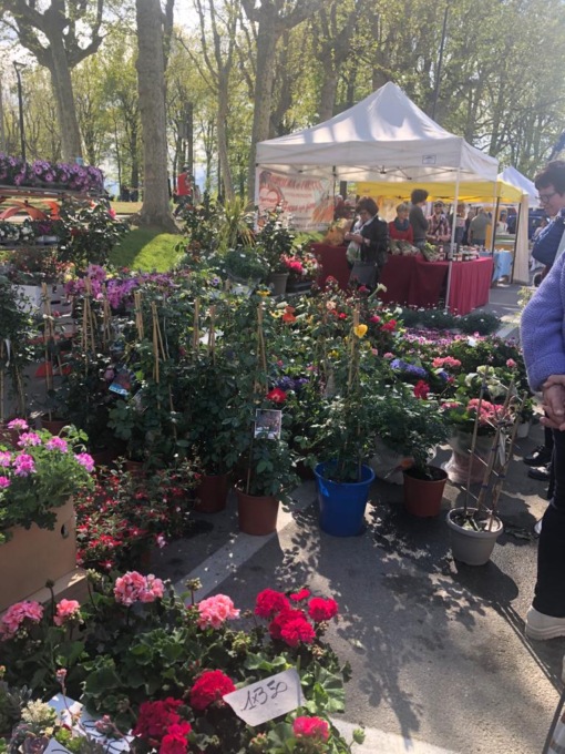 Grande successo per VigonFlor 2023 [FOTO]