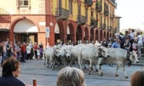 A Saluzzo torna la Rudunà dei margari