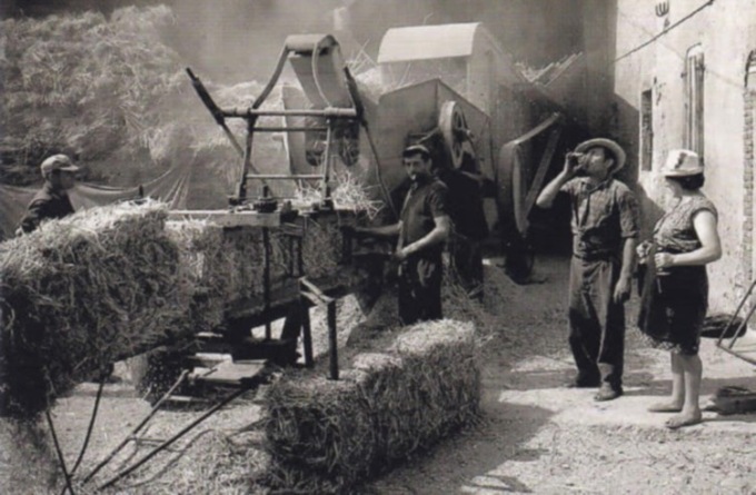 San Martino, la Tradisiun agricola rivive a Barge nella Trebbiatura