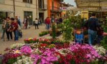 Torna la kermesse di fiori sotto la Rocca