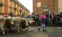 Sabato torna la Rudunà in pieno centro cittadino