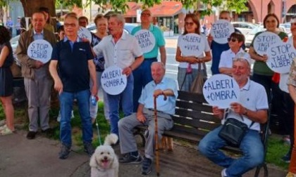 I cittadini scendono in strada per salvare gli alberi di piazza Battaglione Alpini