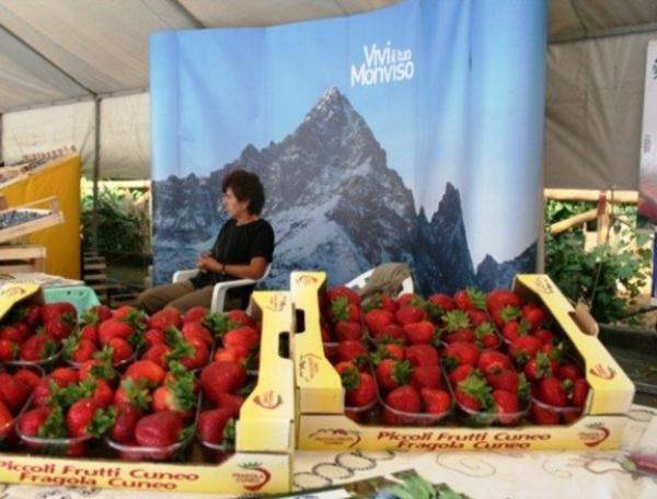 I succosi mirtilli di Martiniana Po