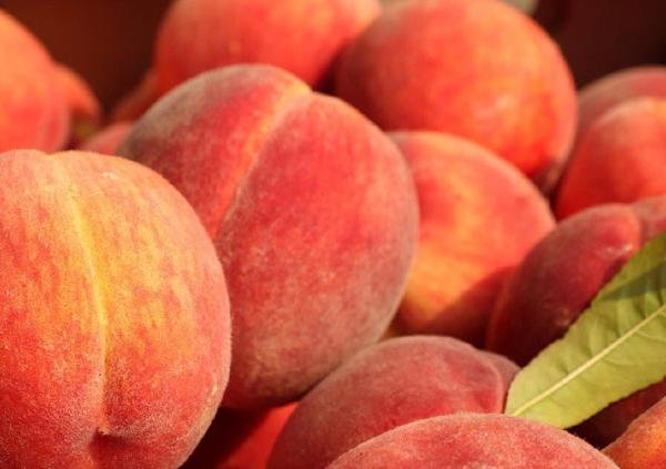 Pesche e nettarine a grande richiesta