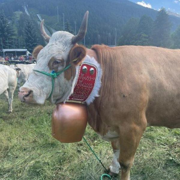 Miss Mucca ‘23 è “Risulin” Tribolo di nuovo sul podio