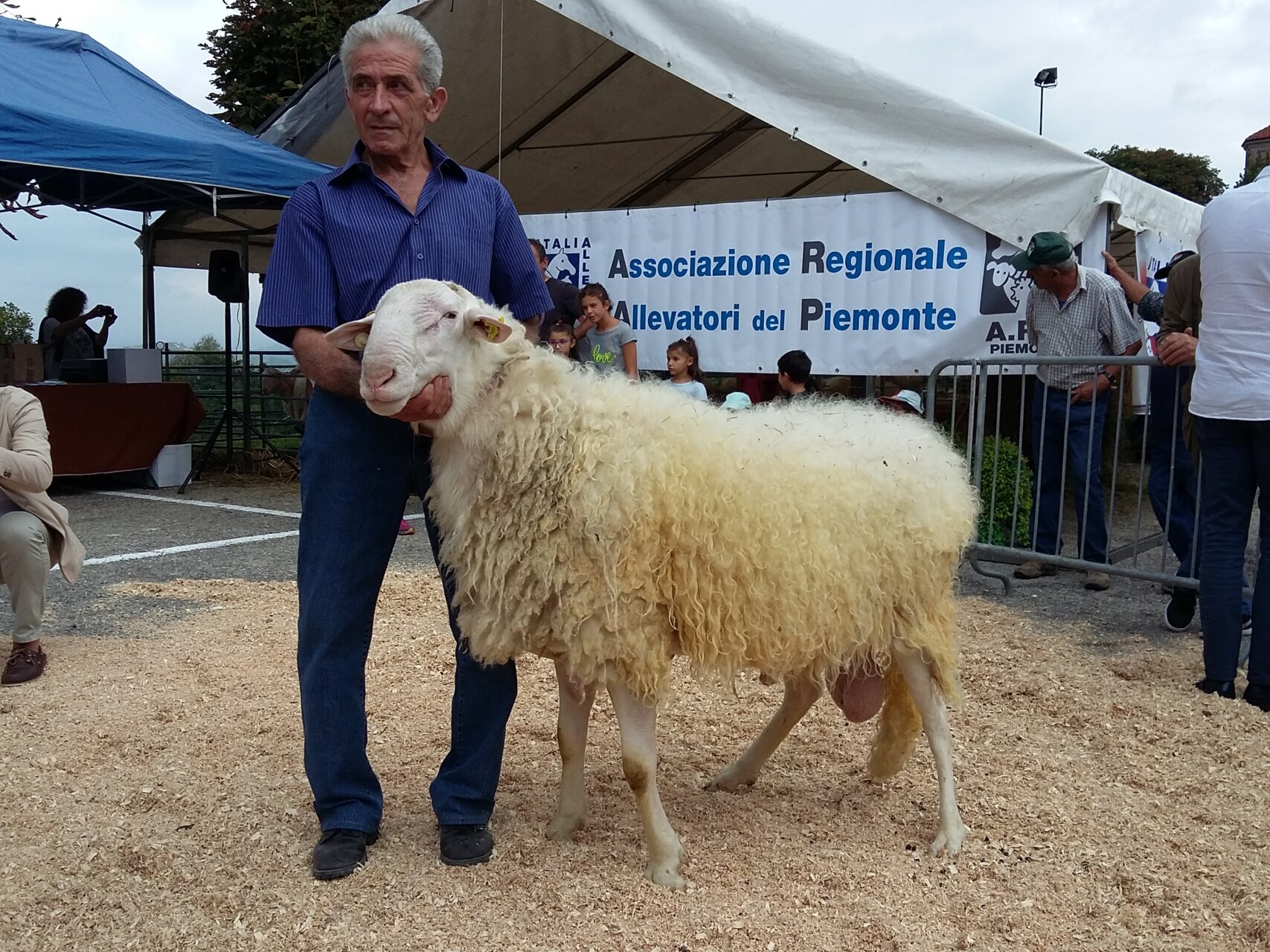 Fiera dei 30, Pecora delle Langhe