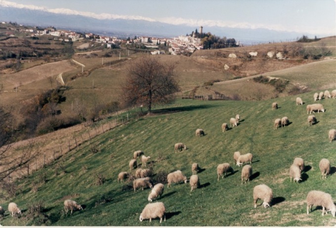 A Murazzano torna la “Fiera dei 30”