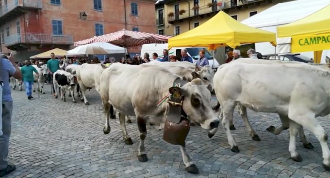 San Michele, a Sampeyre si rivive la magia della fiera