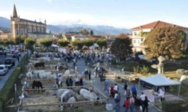 Dal lavoro ai valori della terra Bagnolo capitale dell’agricoltura