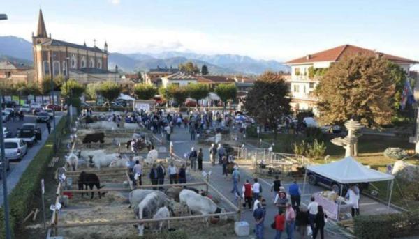 Dal lavoro ai valori della terra Bagnolo capitale dell’agricoltura