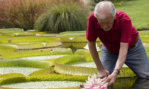 Chiude il giardino botanico di Villa Bricherasio di Saluzzo