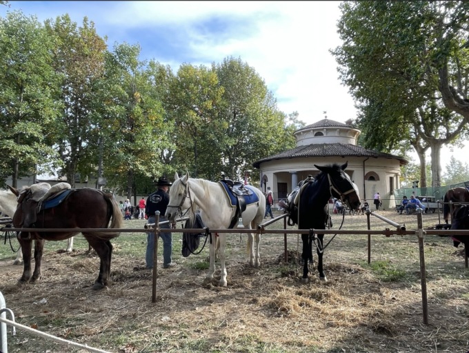 Successo oltre le aspettative per Mais e Cavalli di Vigone