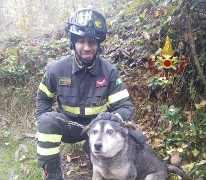 Salvato un cane avvinghiato all’albero