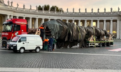 L'albero di Macra è arrivato a Roma dal Papa