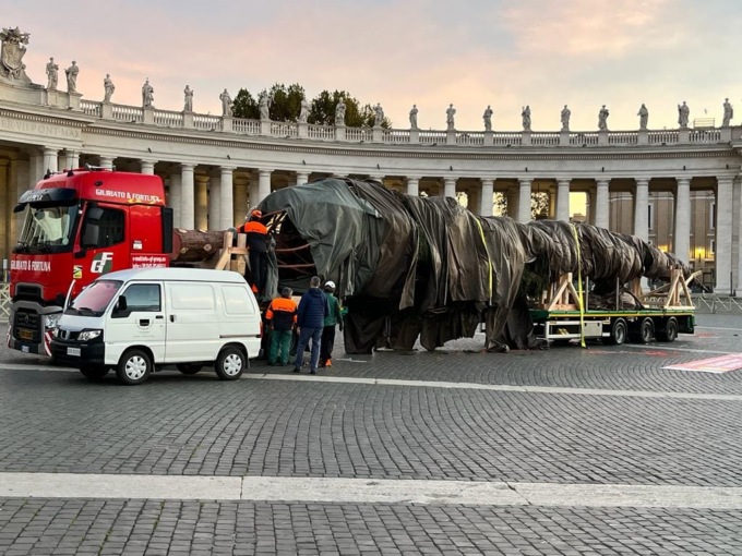 L’albero di Macra è arrivato a Roma dal Papa